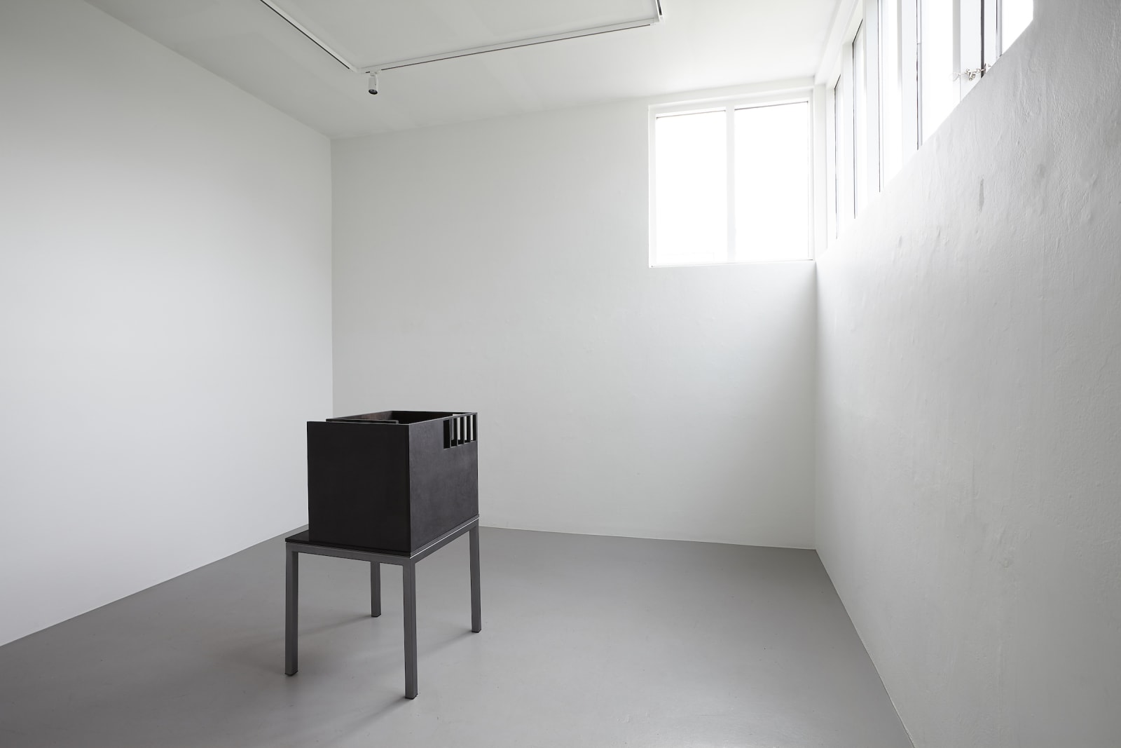 Elín Hansdóttir, WARP, 2019