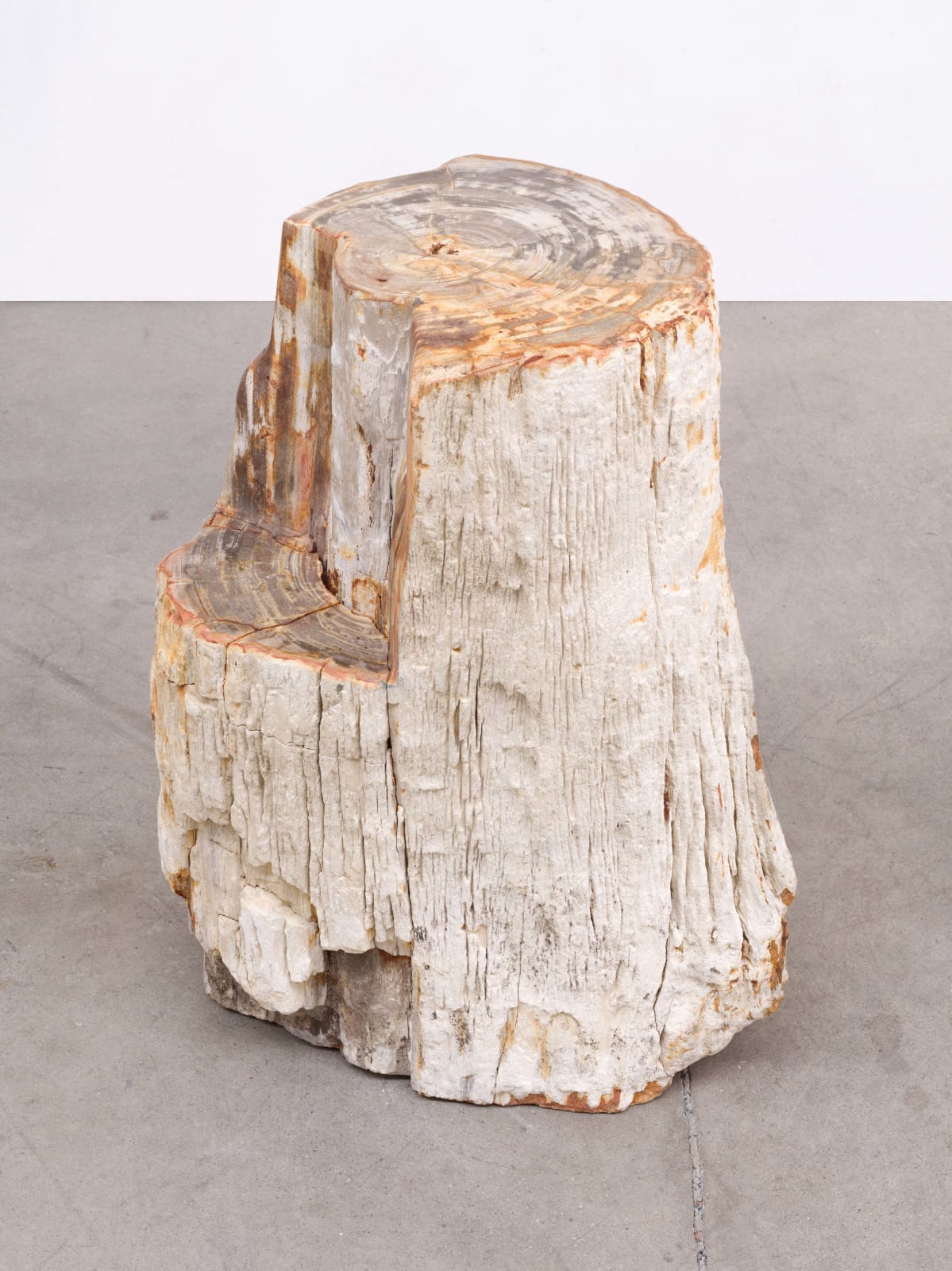 ALICJA KWADE, TransForm, 2021