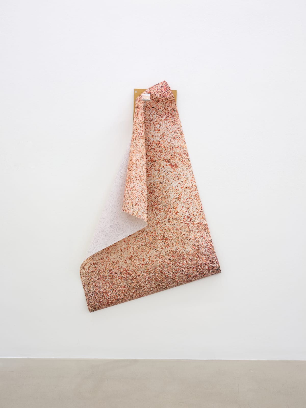 HILDIGUNNUR BIRGISDÓTTIR, Kartöflukrydd, 2019