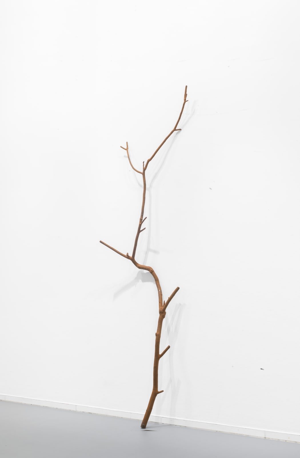 ALICJA KWADE, Parallelwelt (Ast/AntiAst), 2018