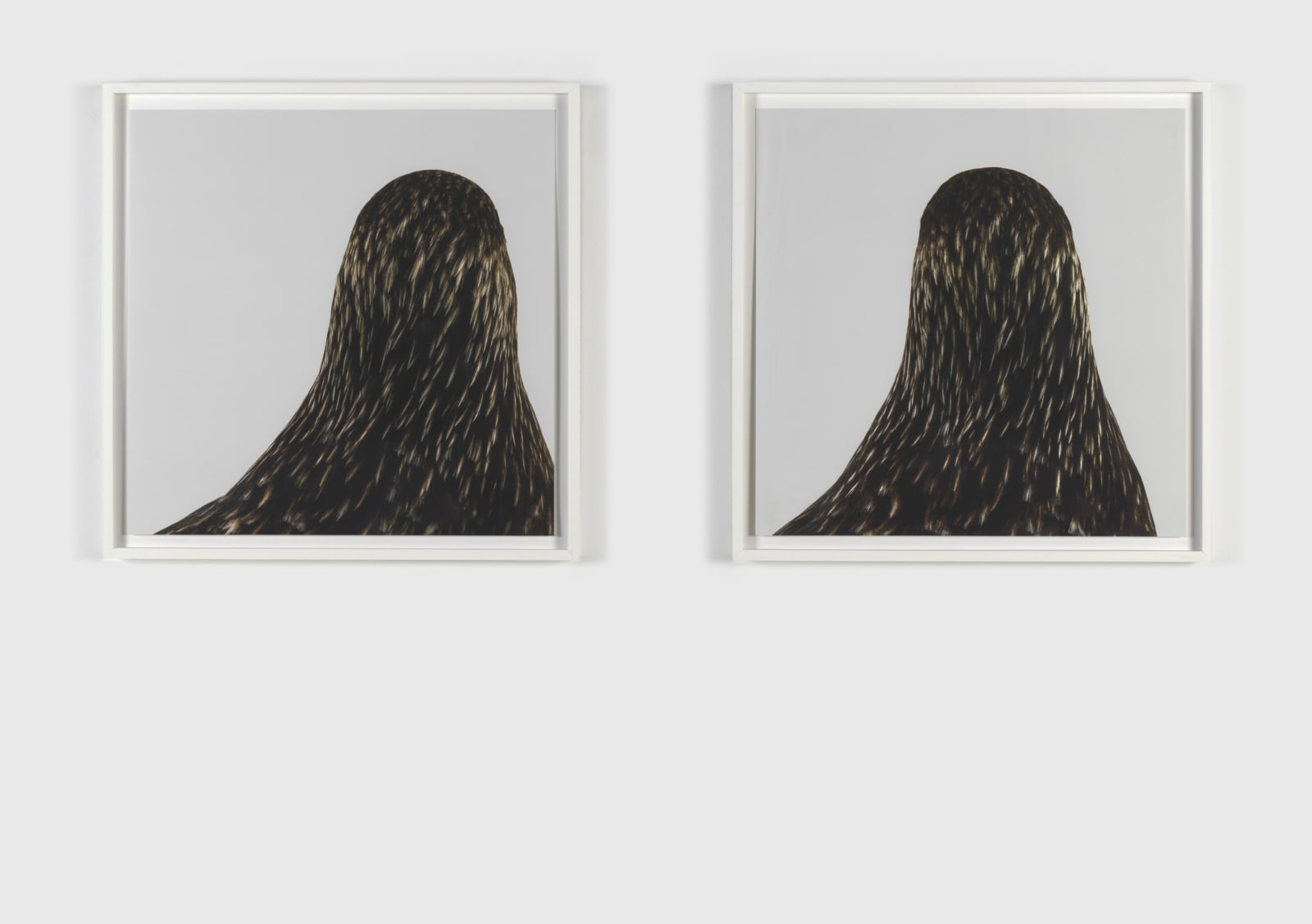 RONI HORN, Untitled # 5, 1998