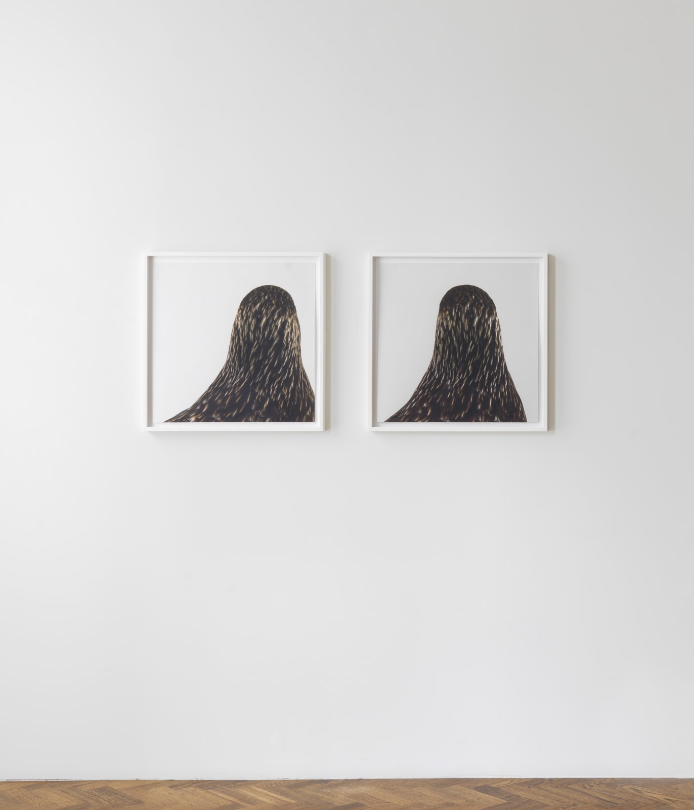 RONI HORN, Untitled # 5, 1998