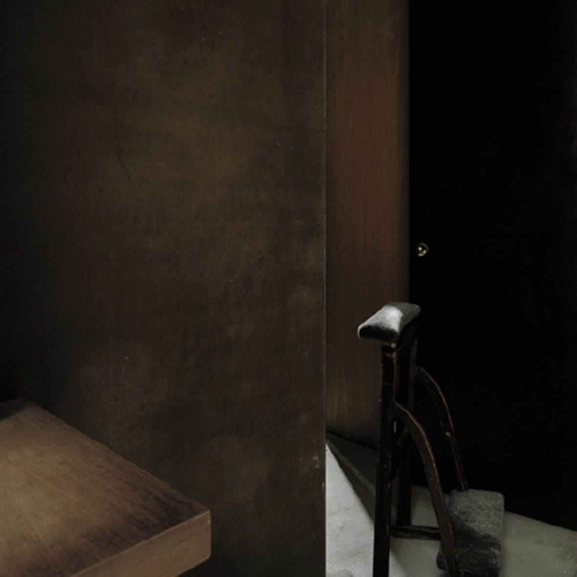 Friederike Von Rauch, Transept 5, 2010