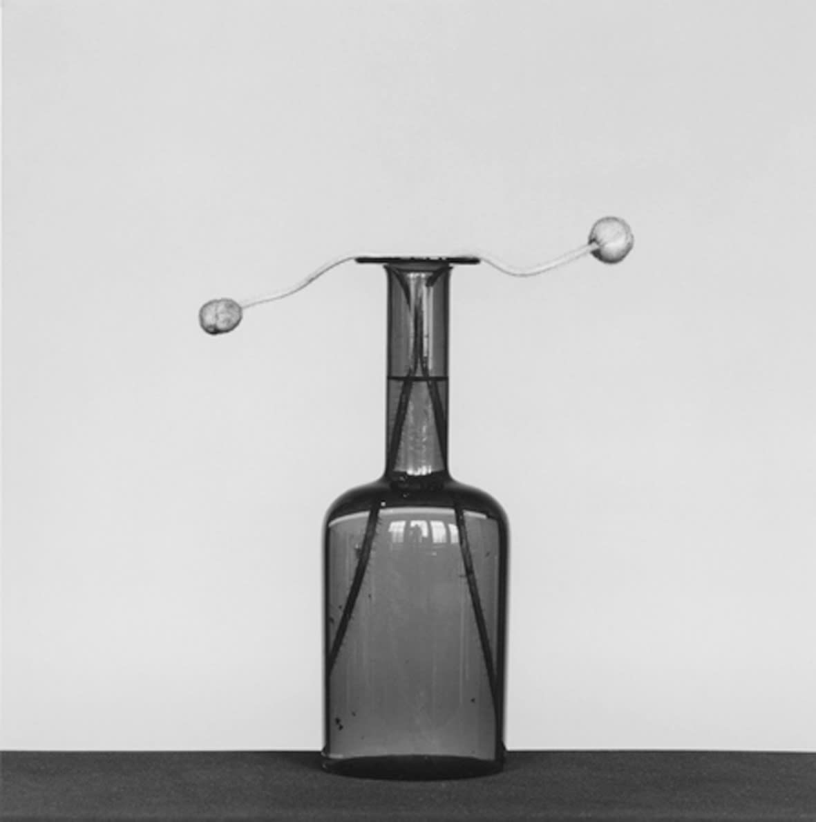 Robert Mapplethorpe, Poppy, 1982 / vintage