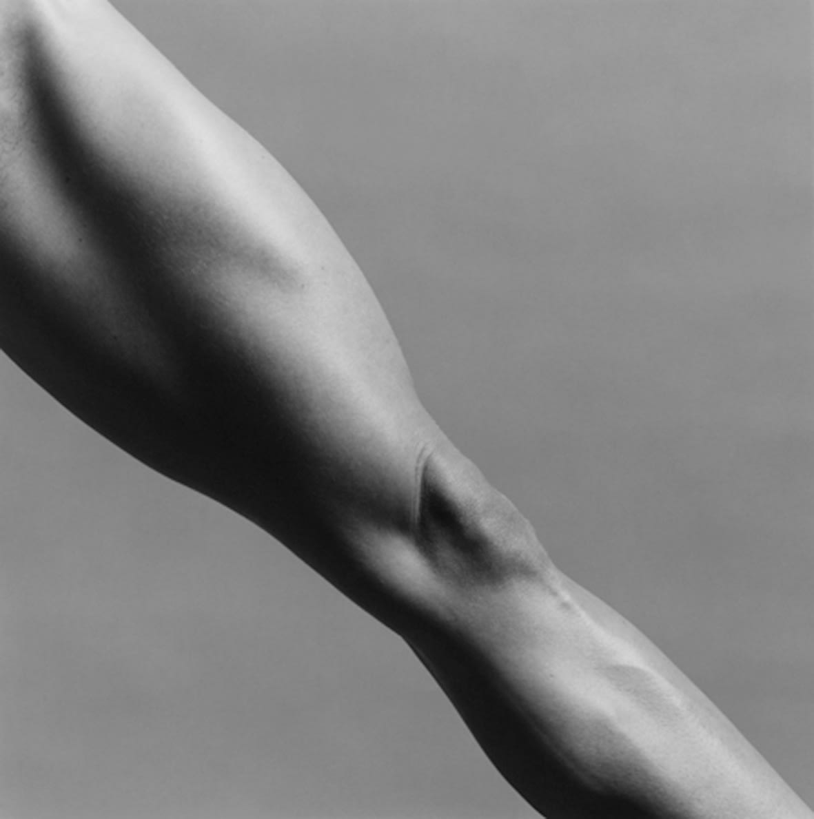 Robert Mapplethorpe, Lisa Lyon, 1982 / printed 1990