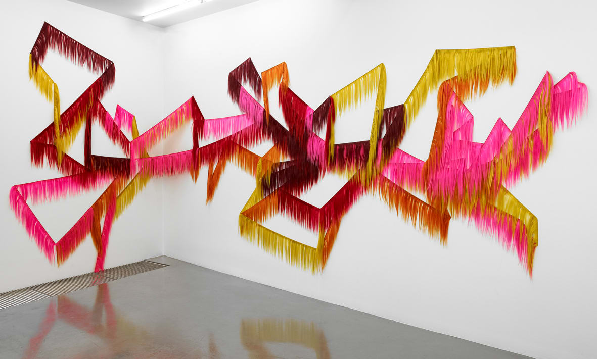 Hrafnhildur Arnardóttir, Vanity Disorder / Hégómaröskun, 2009