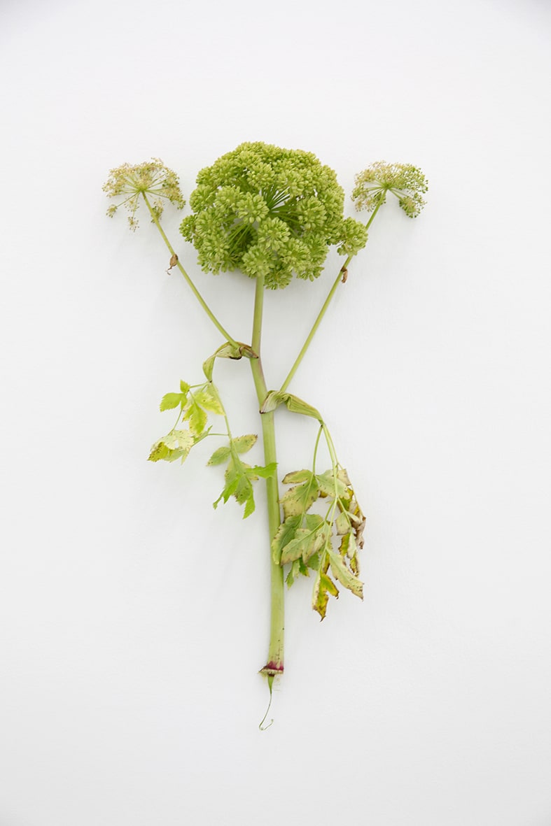 KARIN SANDER, Angelica (Kitchen Pieces), 2011 / 2016