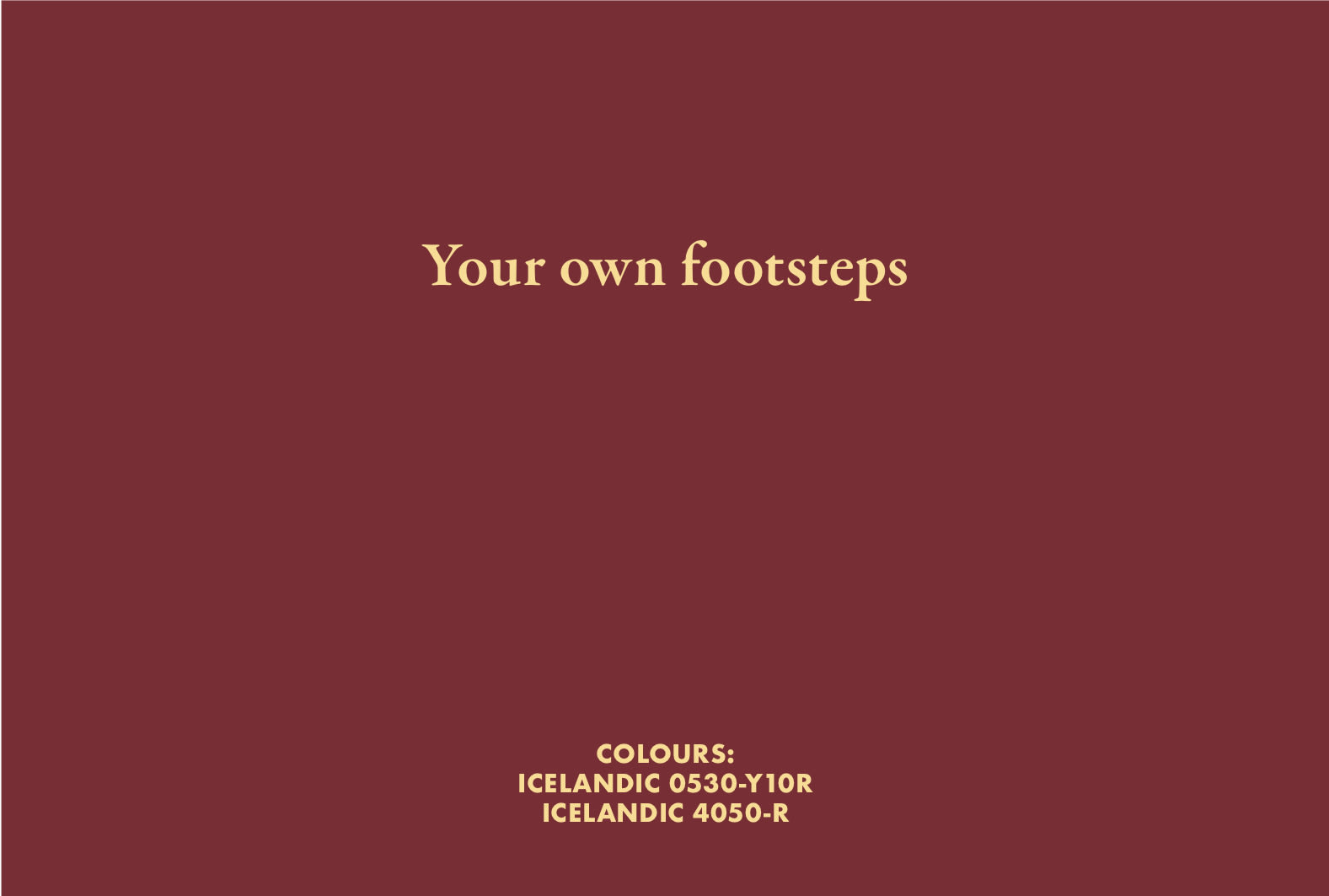 BIRGIR ANDRÉSSON, Your own footsteps, 2006