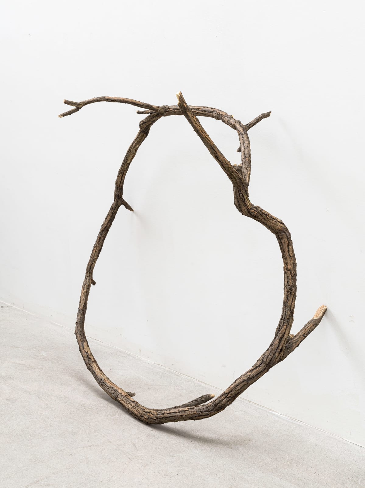 ALICJA KWADE, Adoption of specific properties, 2022