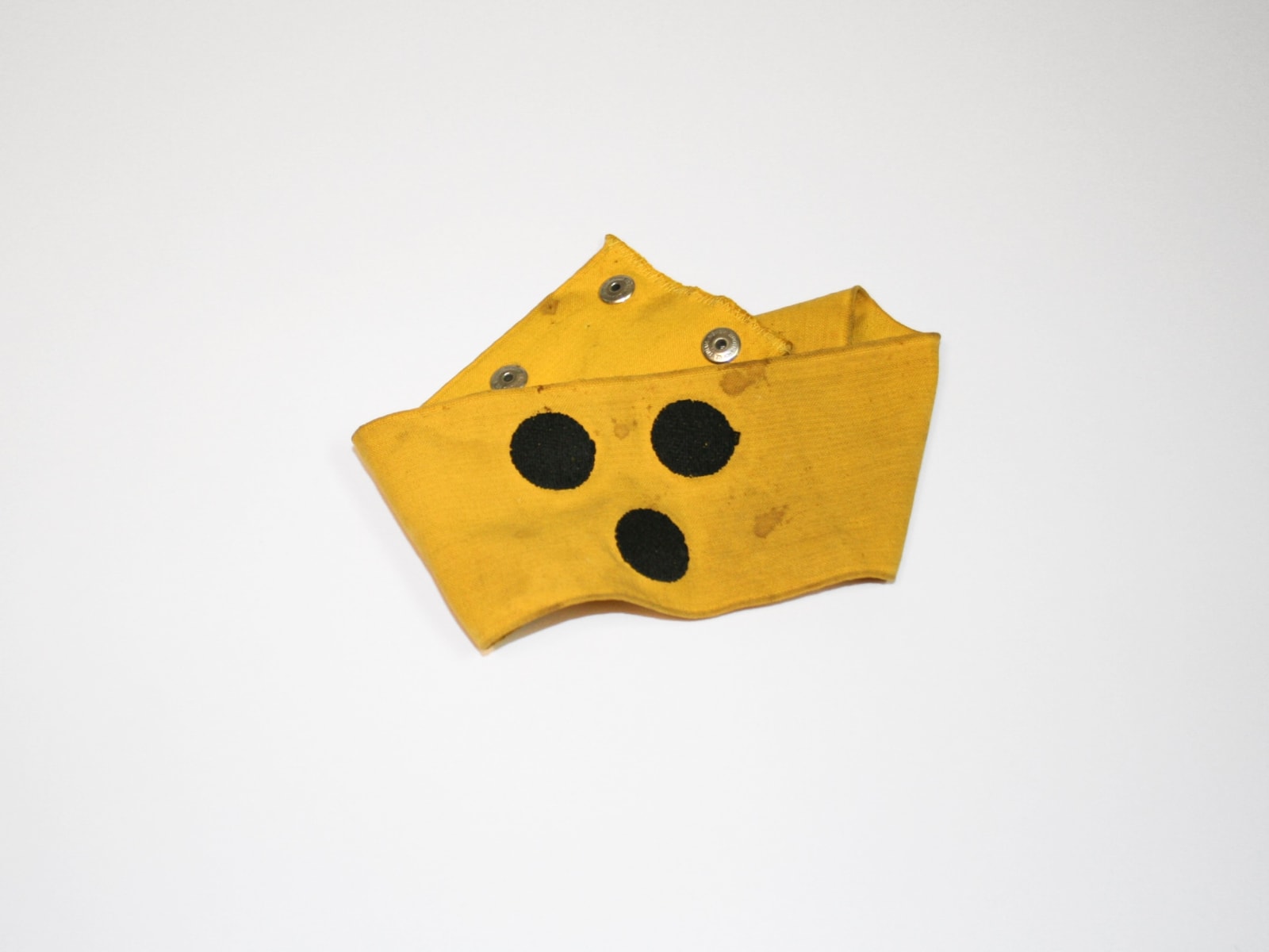 BIRGIR ANDRÉSSON, Self Portrait as a Seeing Eye Dog, 2007