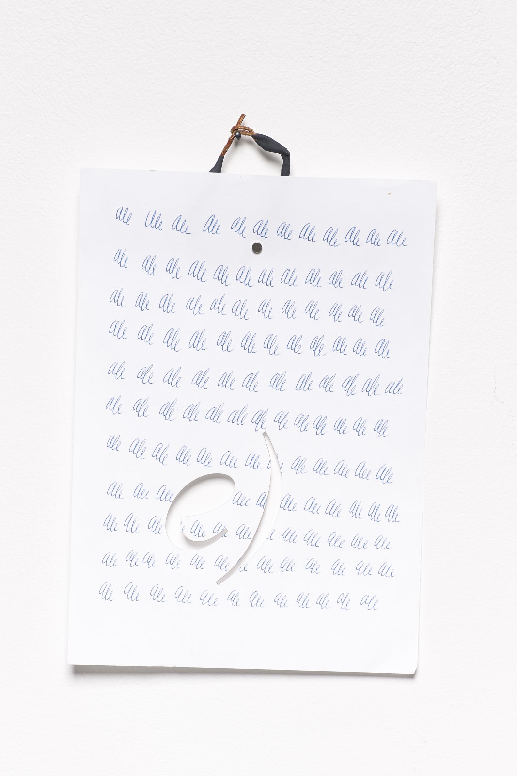 HILDIGUNNUR BIRGISDÓTTIR, Category (e1), 2017