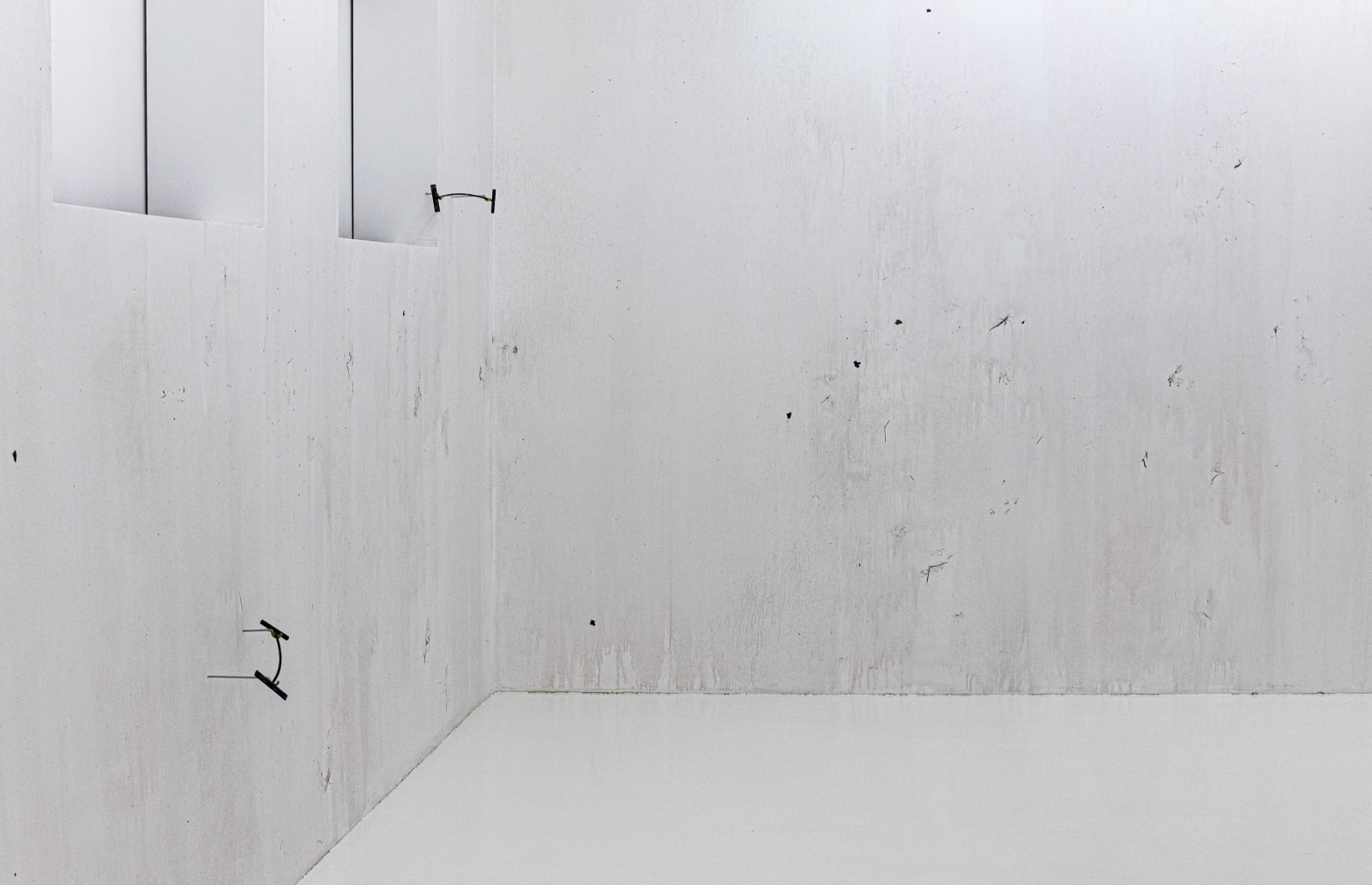 HILDIGUNNUR BIRGISDÓTTIR, 2021