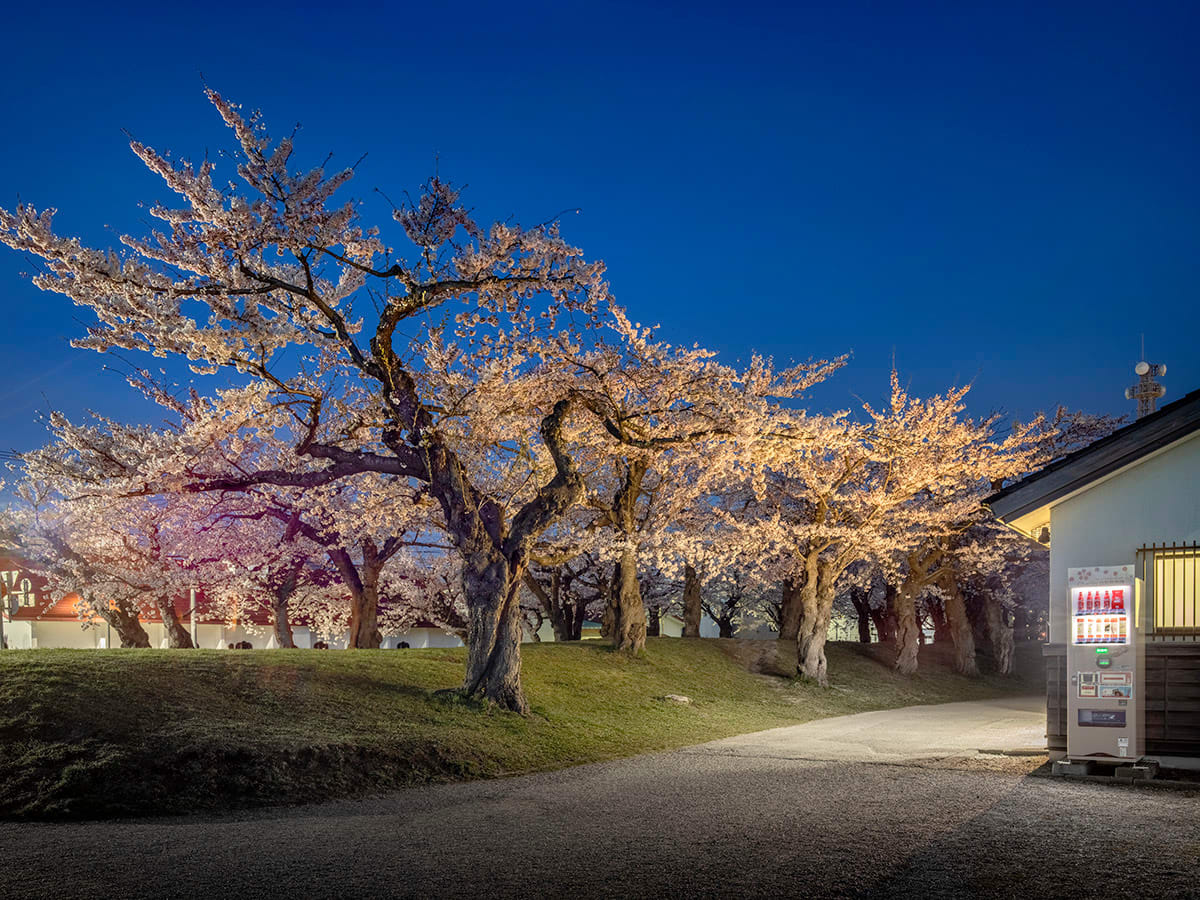 Eiji Ohashi, Roadside Lights 137, 2021
