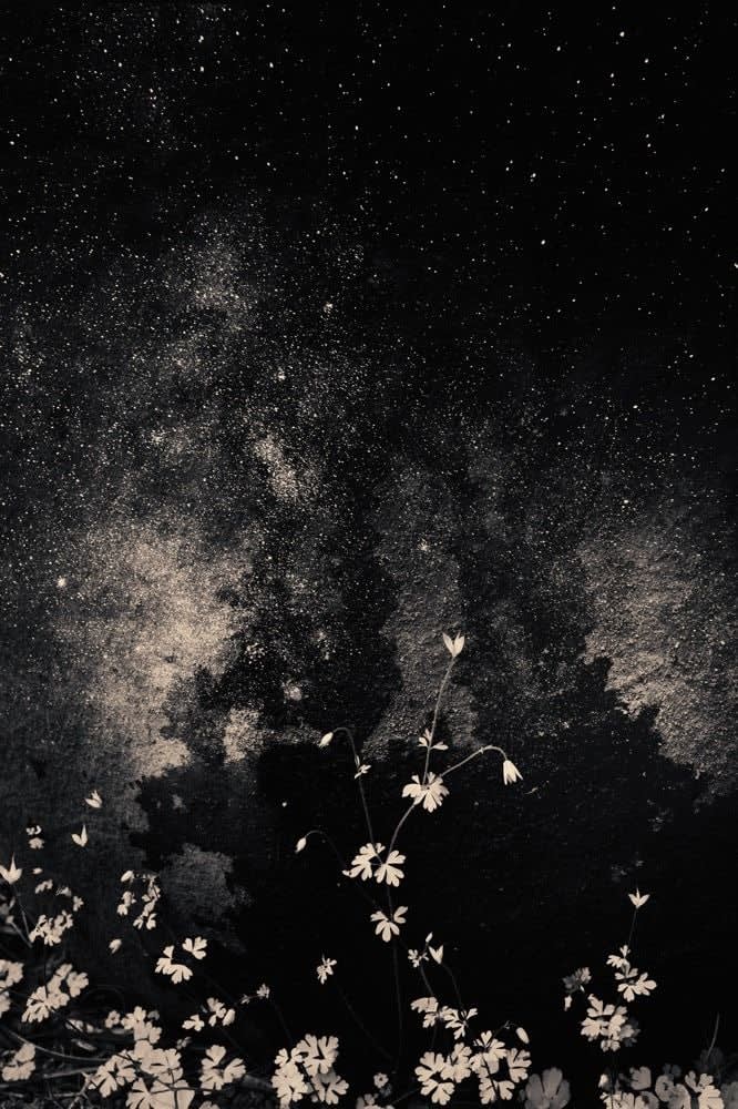 Albarrán Cabrera, The Mouth of Krishna #367, 2015