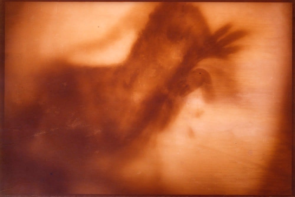 Naoyuki Ogino, Untitled from Aevum, 2015