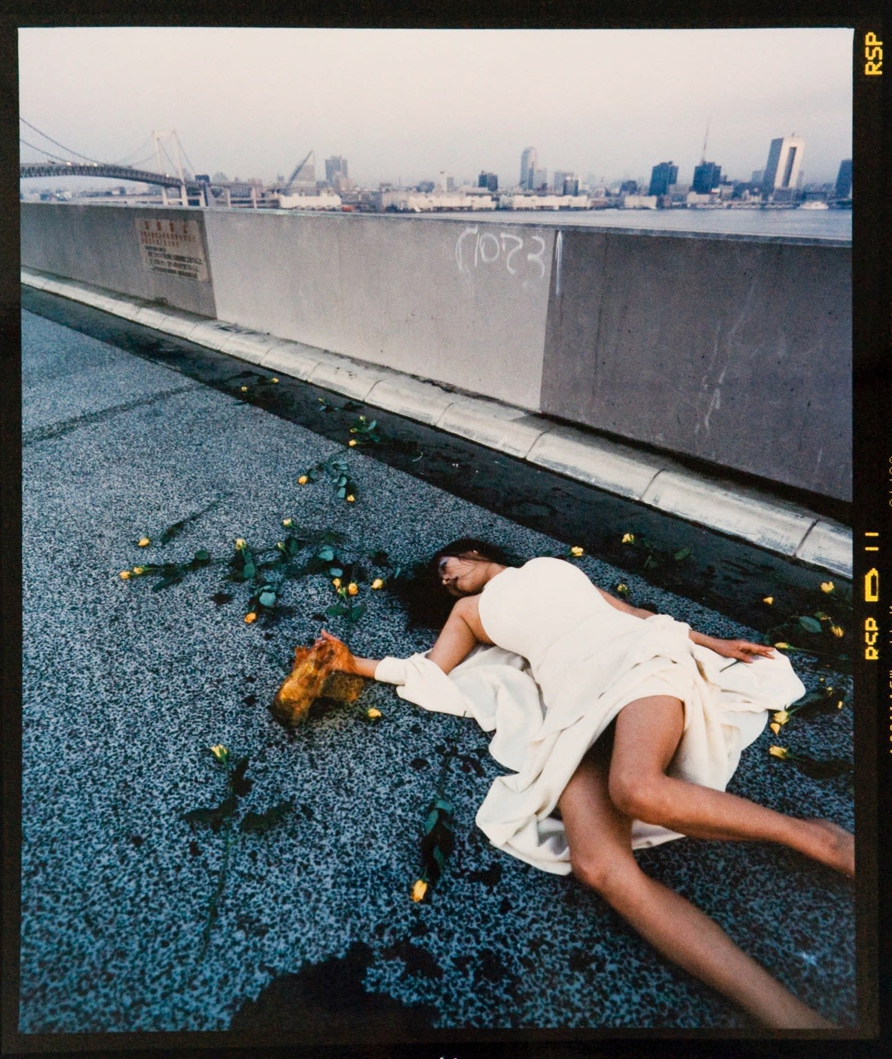 Various Japanese Artists, Izima Kaoru - Catase Rino wears Sybilla, 1997