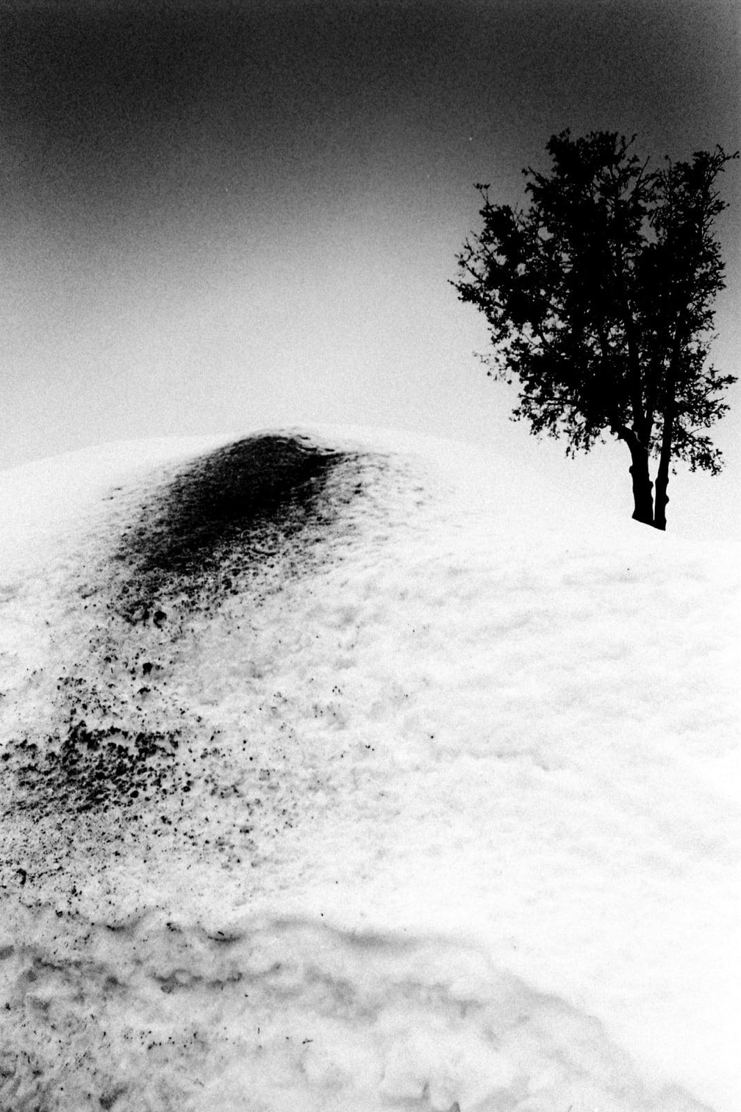 Hajime Kimura, Matagi 47, 2007-2013