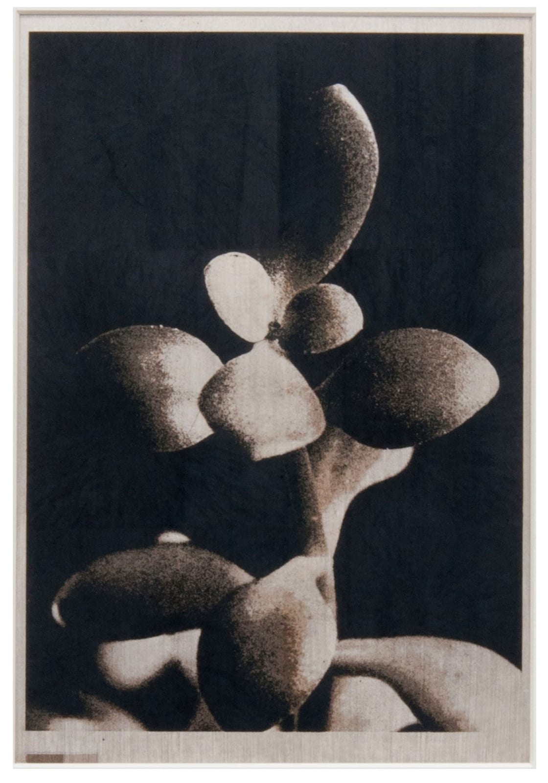 Norio Takasugi, zb-2, 2018