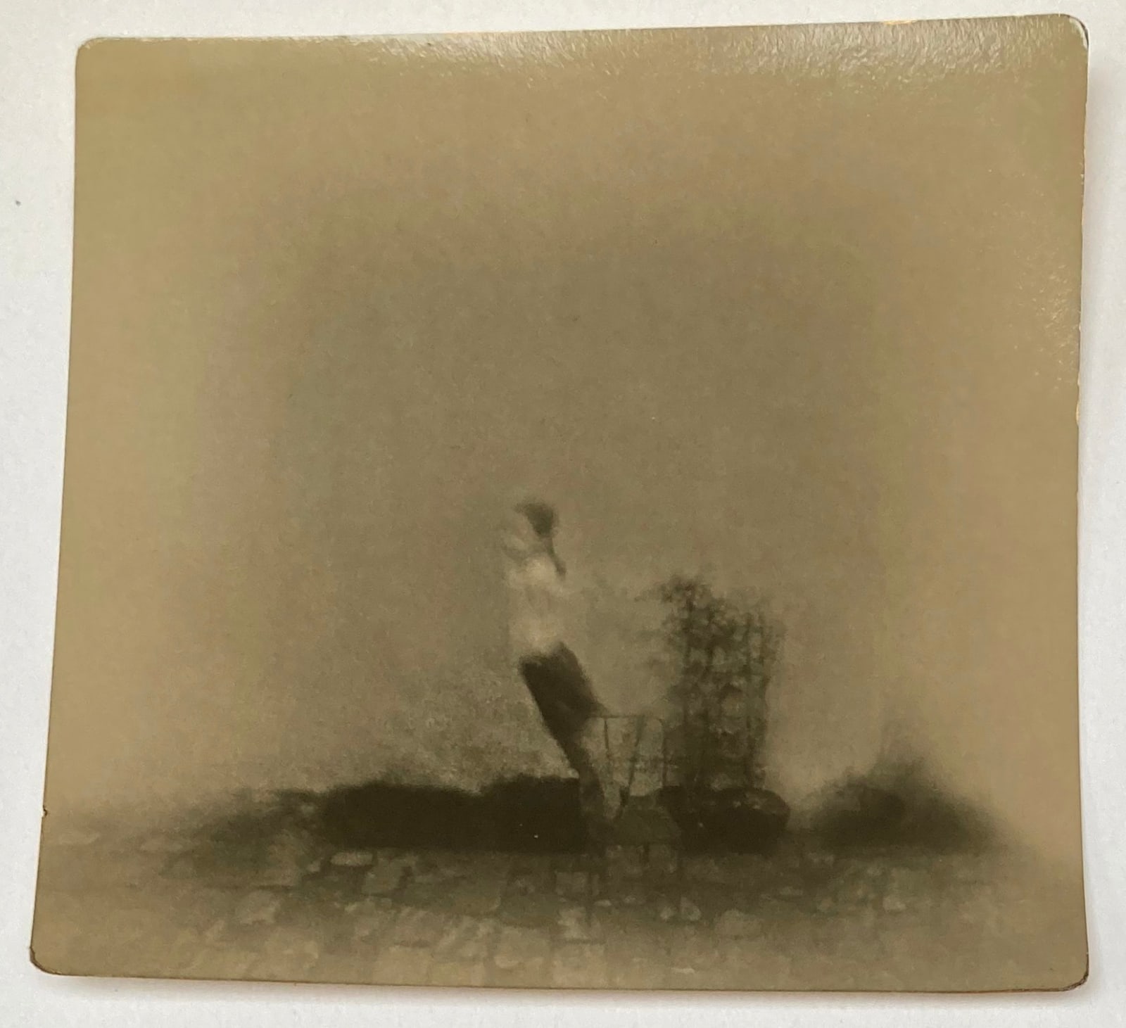 Miho Kajioka, BK0638, 2020