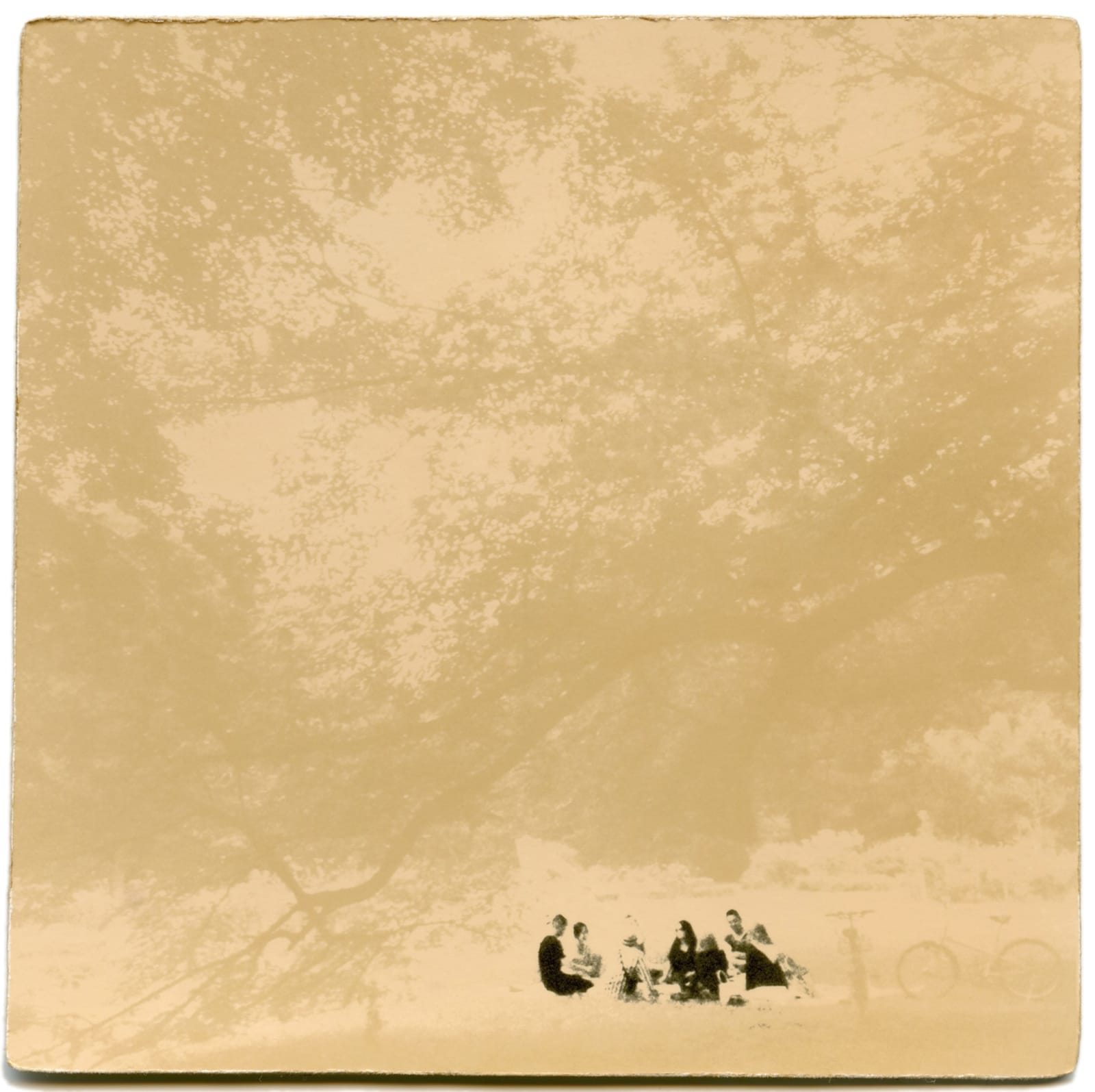 Miho Kajioka, BK0072, 2013