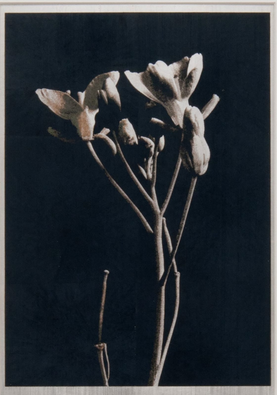 Norio Takasugi, gb-2, 2018