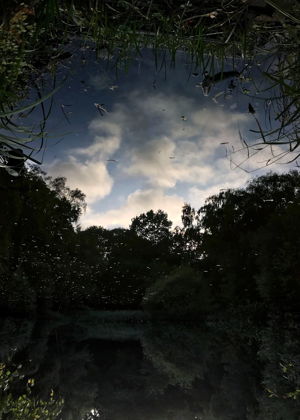 Sayako Sugawara, Clouds in Dark Pond, 2019
