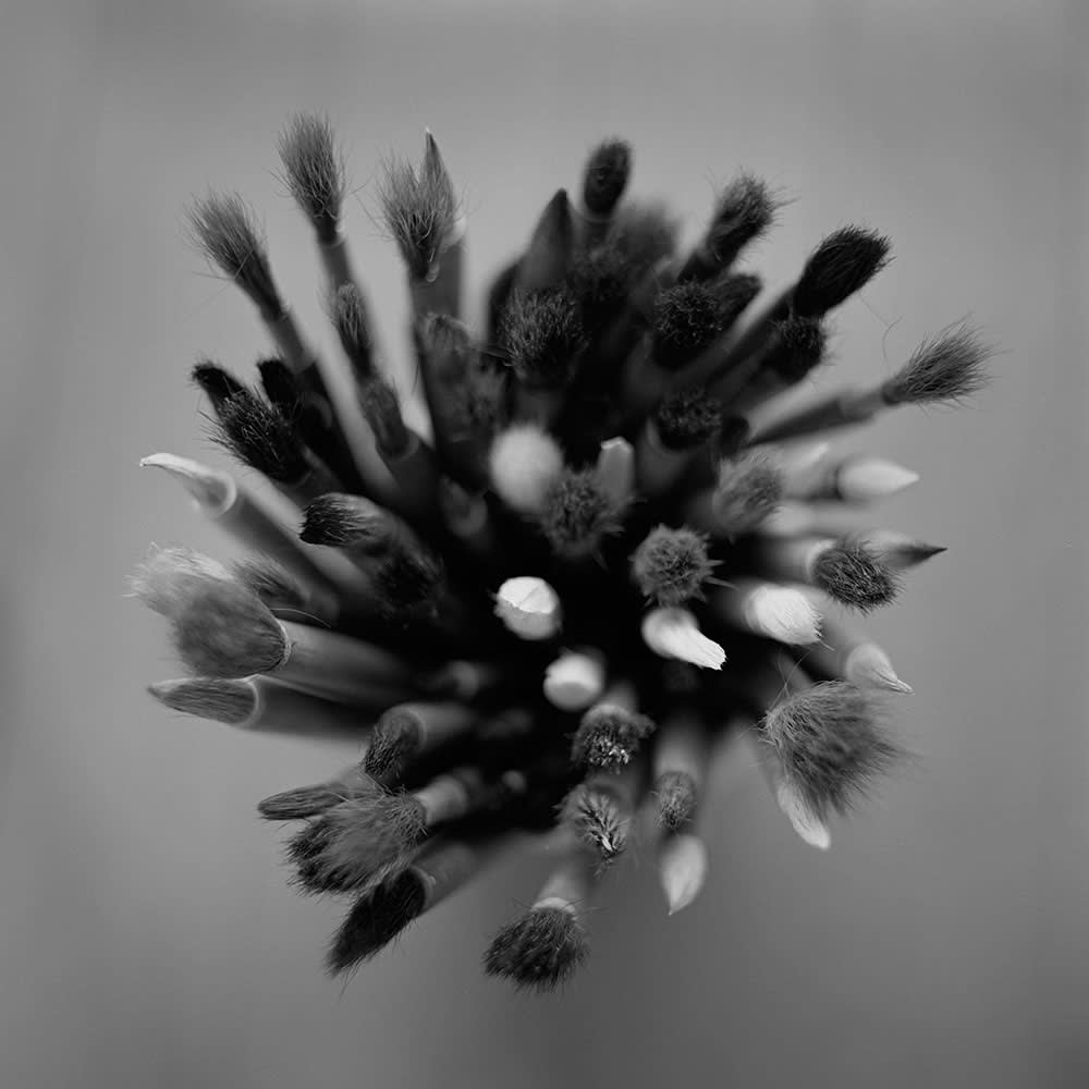 Keiichi Ito, Takada Tokyo, 2011