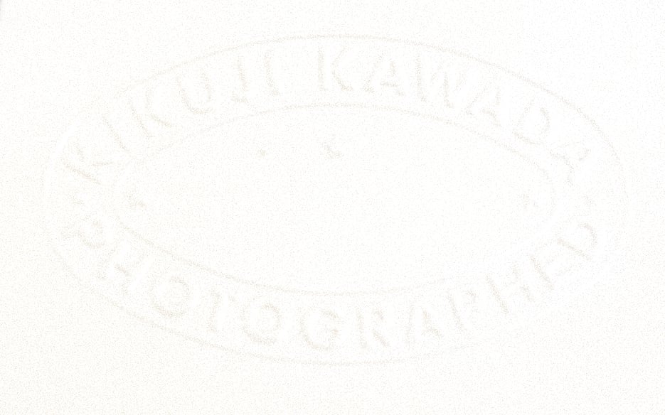 Kikuji Kawada, Zeno & Kiki, from the Last Cosmology, 1995