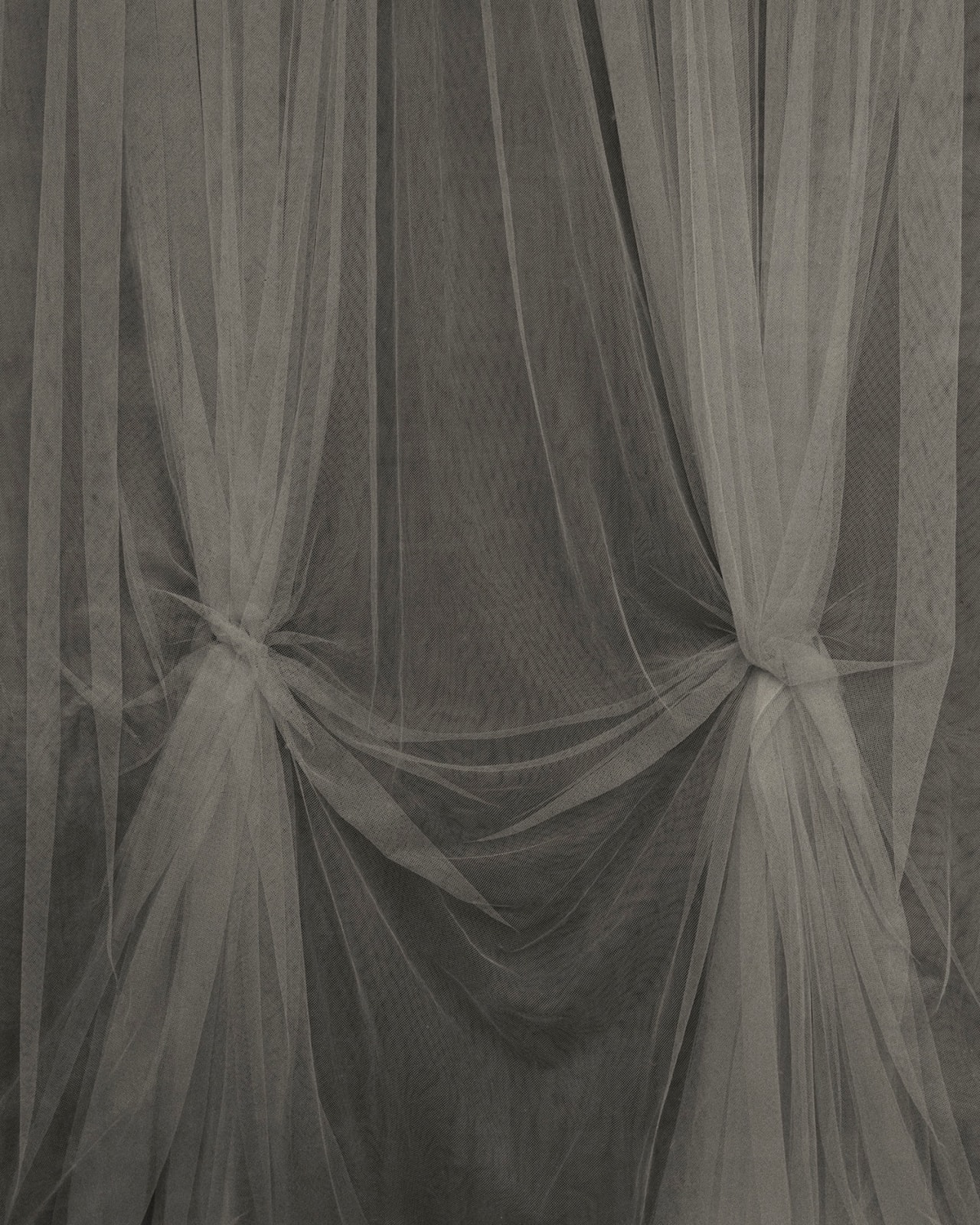 Sayuri Ichida, Absentee #263, 2021