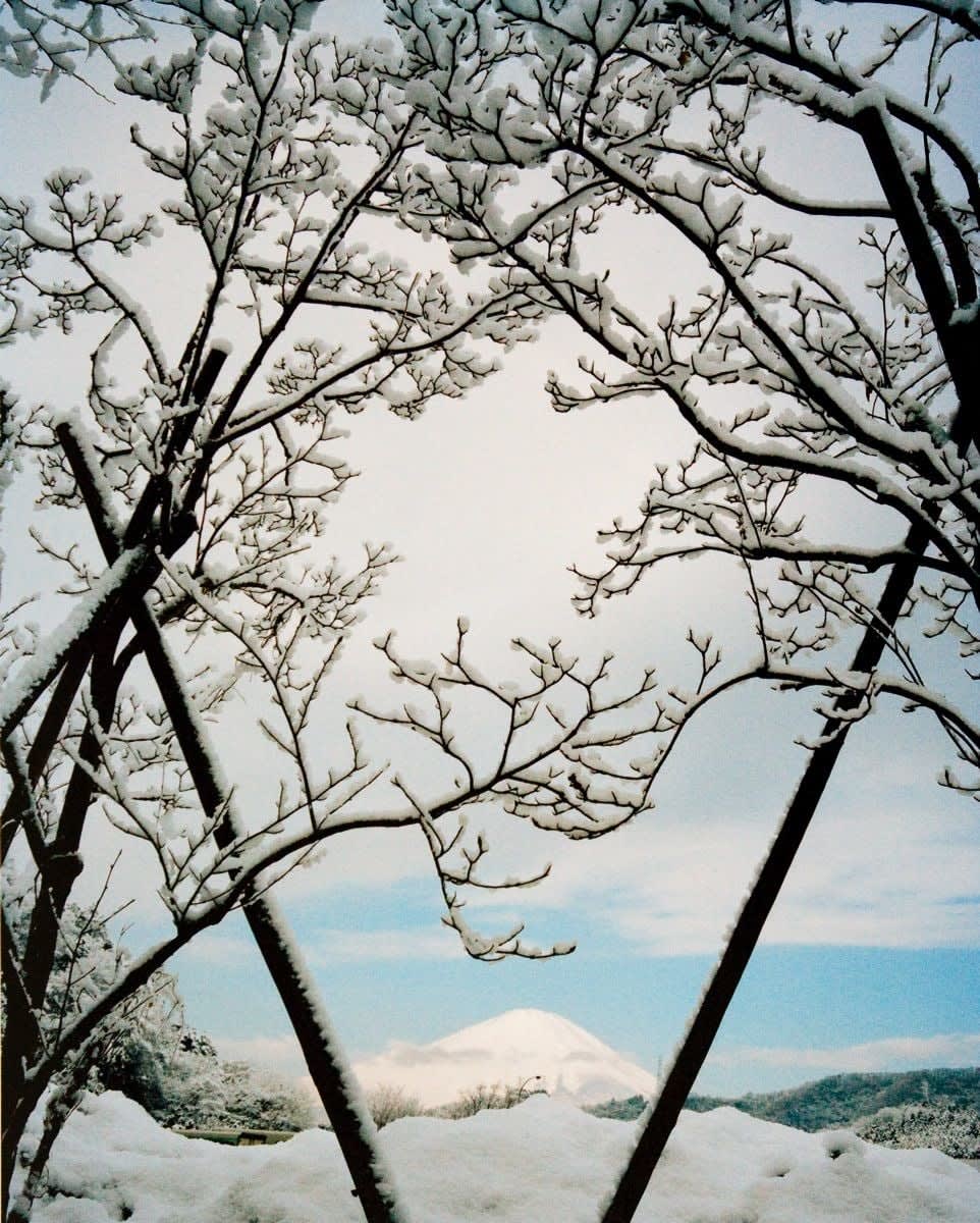 Chris Steele-Perkins, Service Area on Way to Gotemba, from the series Fuji 1999-2001, 2001
