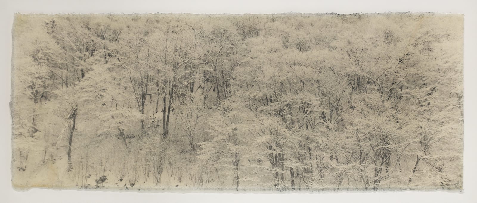 Naohiro Ninomiya, Silence Blanc, 2025