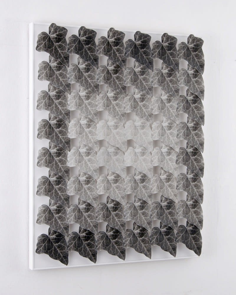 Norio Takasugi, Efeu 14-7G, 2017