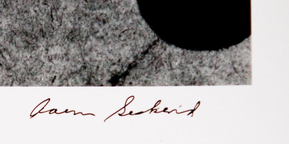 Various International Artists, Aaron Siskind - San Luis Potosi 16, 1961