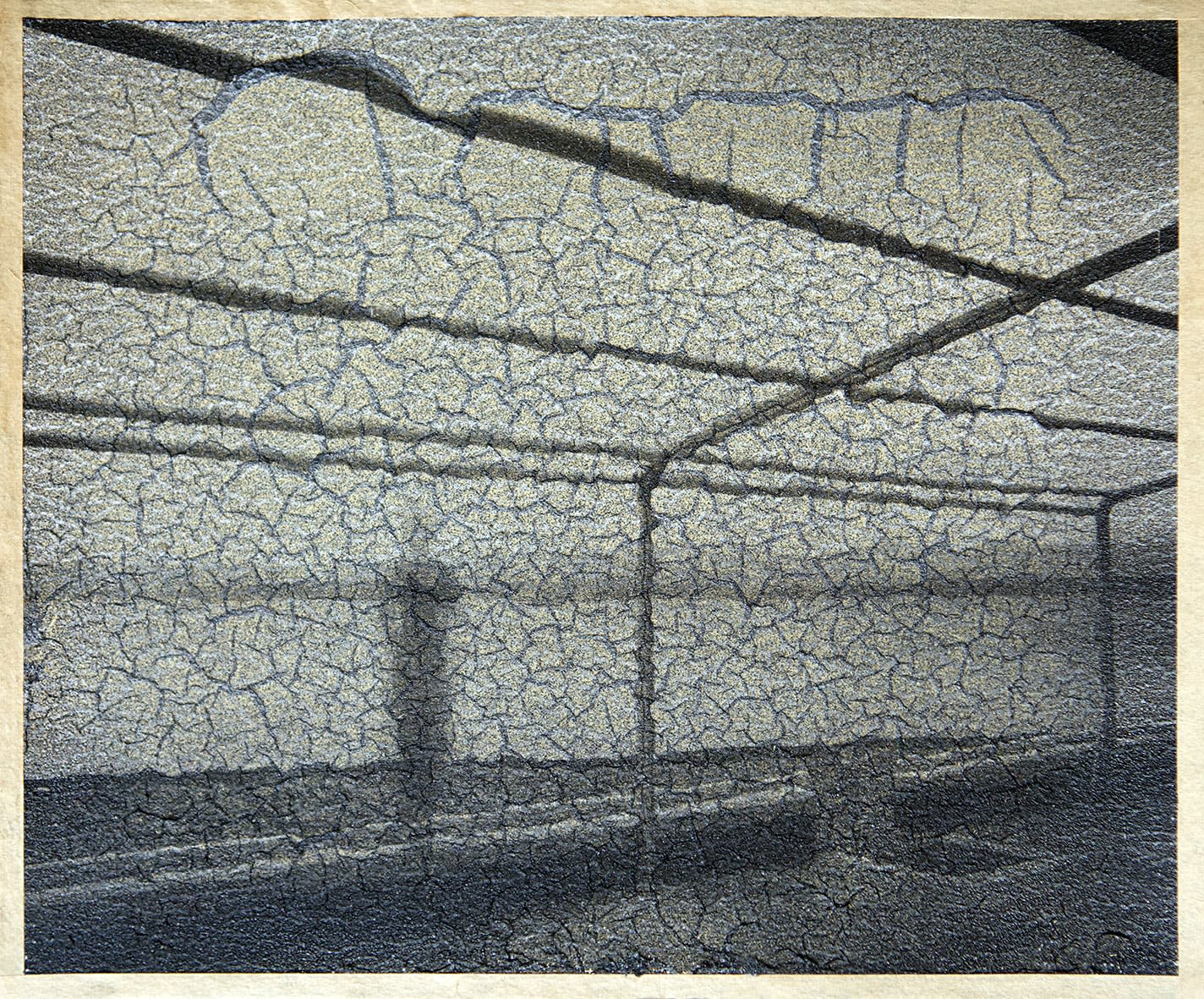 Birgit Graschopf, Untitled, 2024