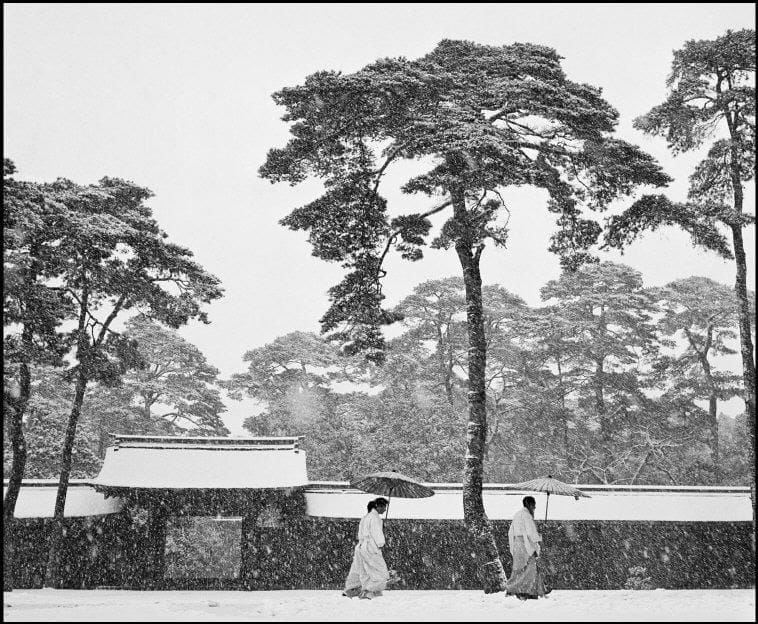 Werner Bischof, JAPAN. Tokyo. Courtyard of the Meiji Shrine, 1951