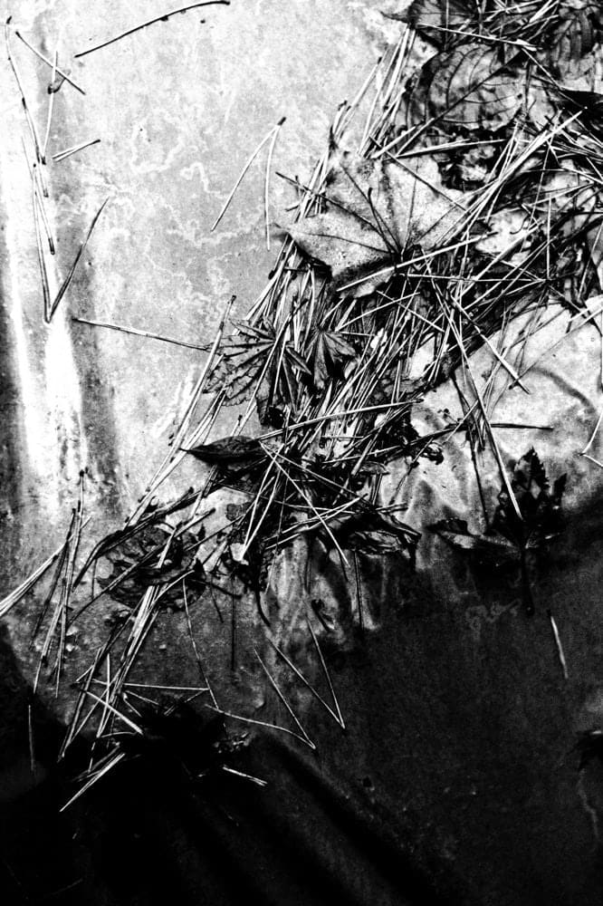 Munemasa Takahashi, Laying Stones 011, 2014