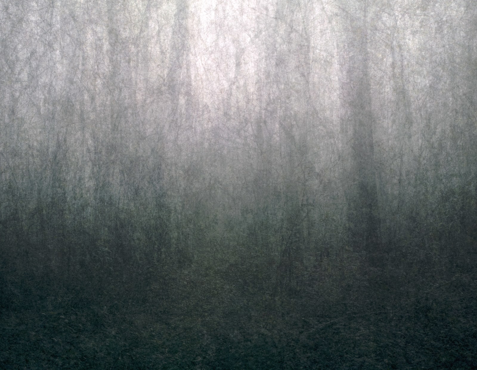 Hideyuki Ishibashi, « Bois Parisien 26/11/2020 10:06 – 11:26 », 2020