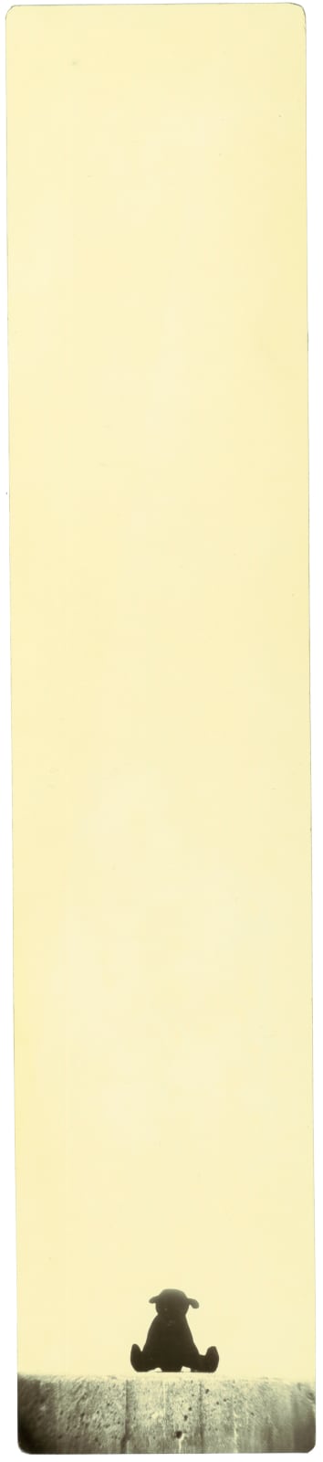 Miho Kajioka, BK0018, 1994
