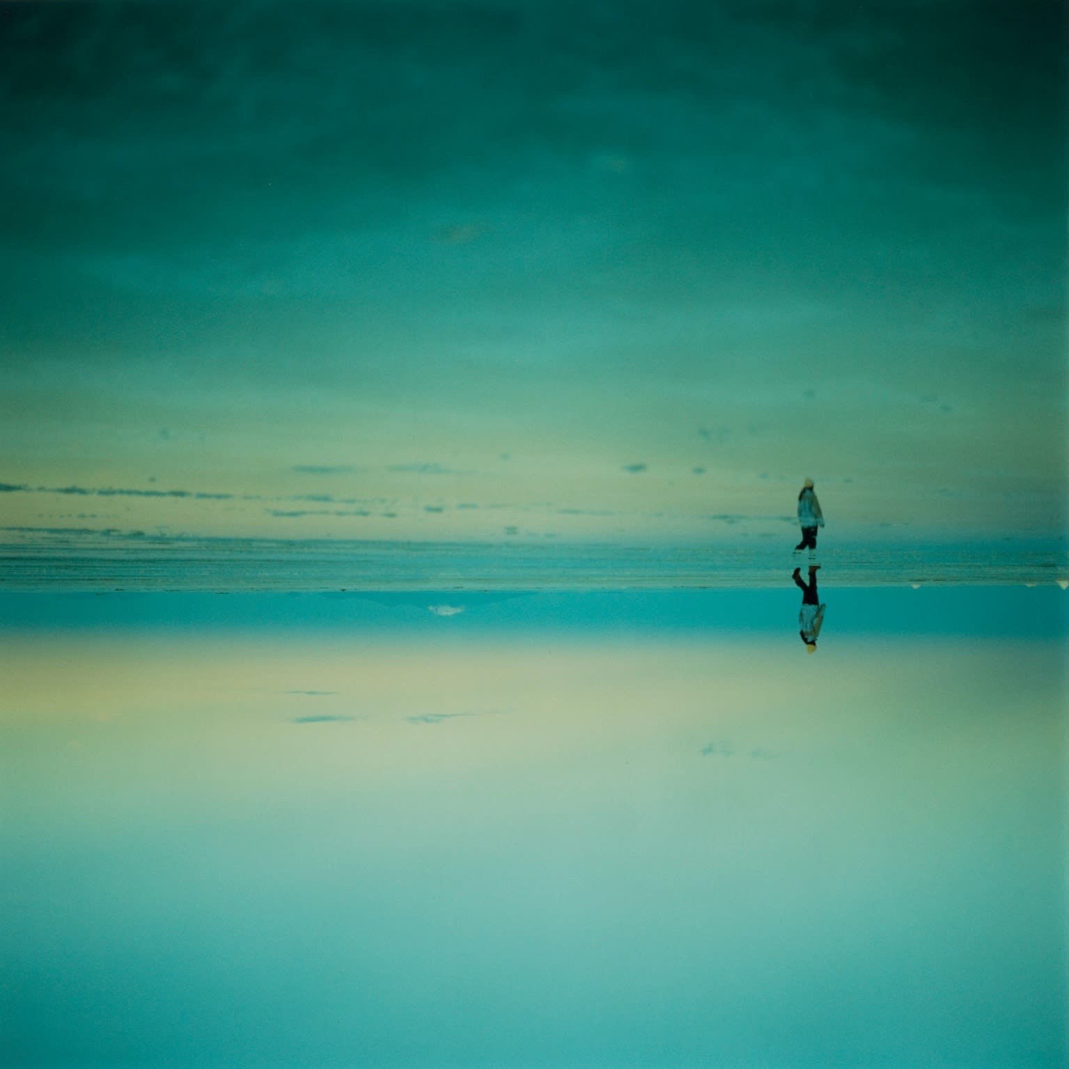 Asako Shimizu, On Her Skin #8, 2009