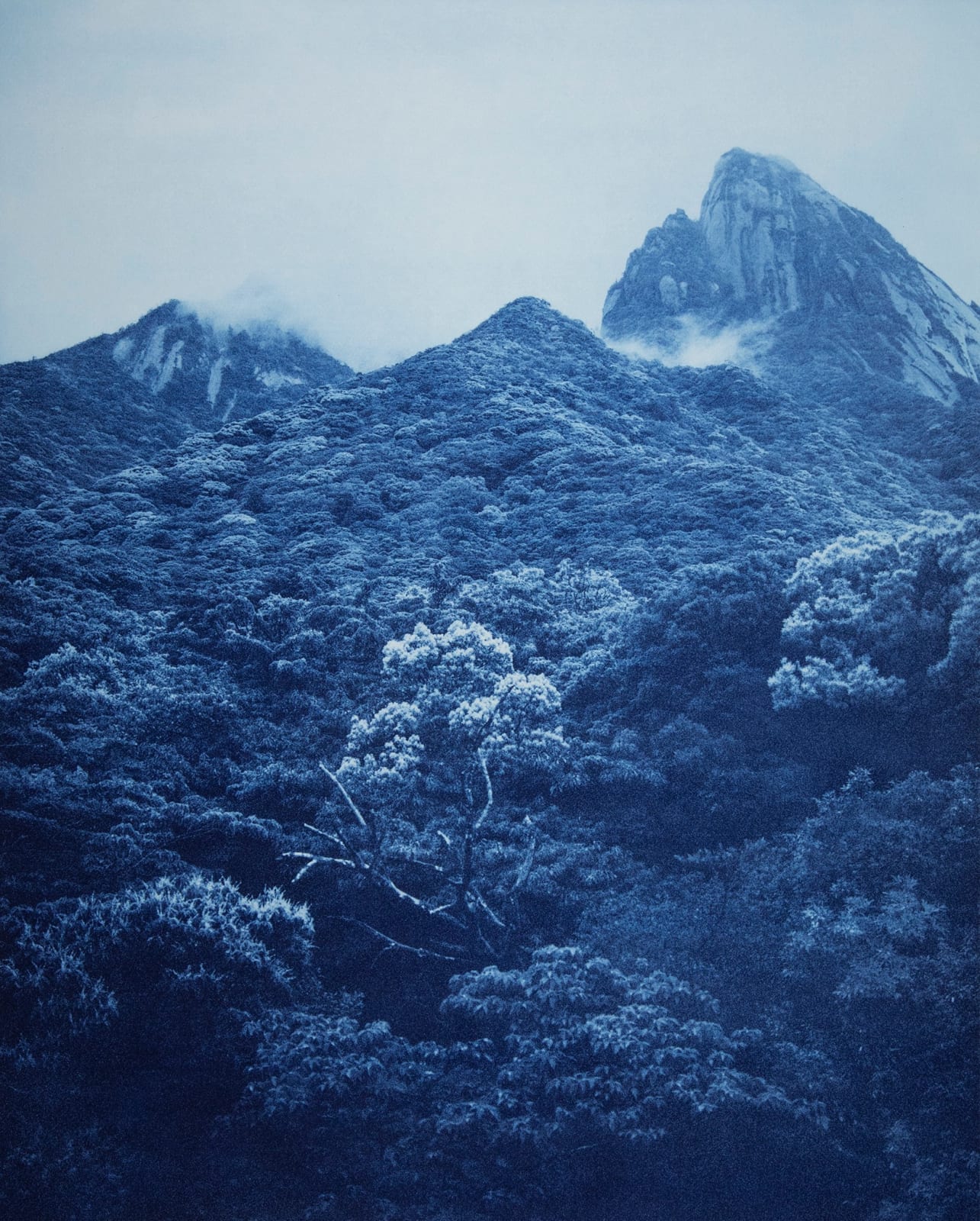Anaïs Lopez, Mountain