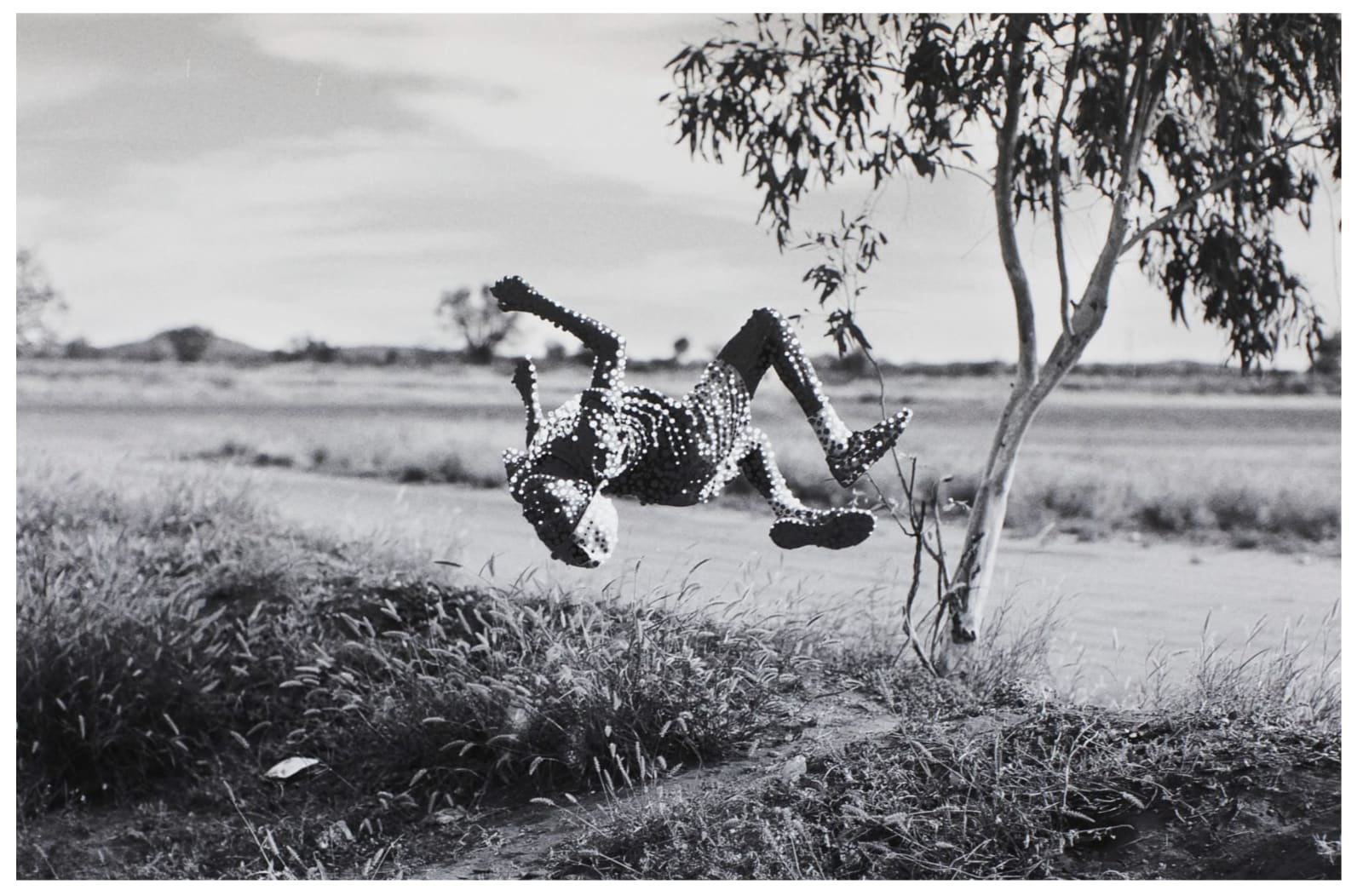 Patrick Waterhouse, What's the Light Light Dark Dark Point Point? Jarra. Restricted in workshop at Warkukurlangu Art Centre, 2014-18