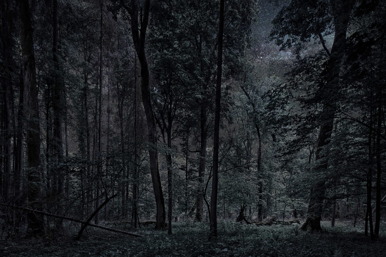 Thierry Cohen, Carbon Catchers no. 14