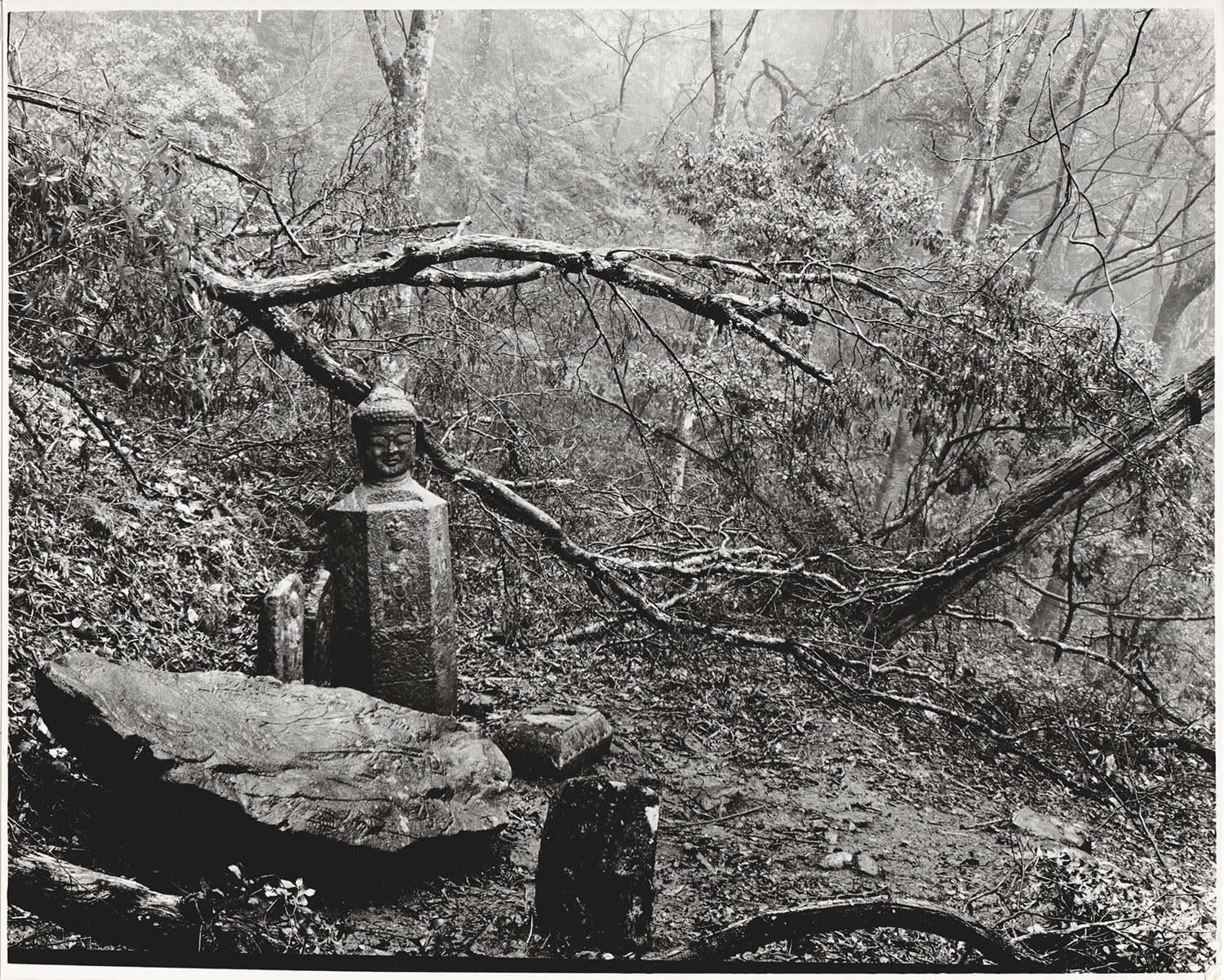 Ken Domon, Koji Junrai - Plate 112, 1963-1972