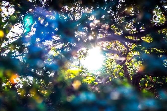 Yosuke Takeda, 81112, 2012