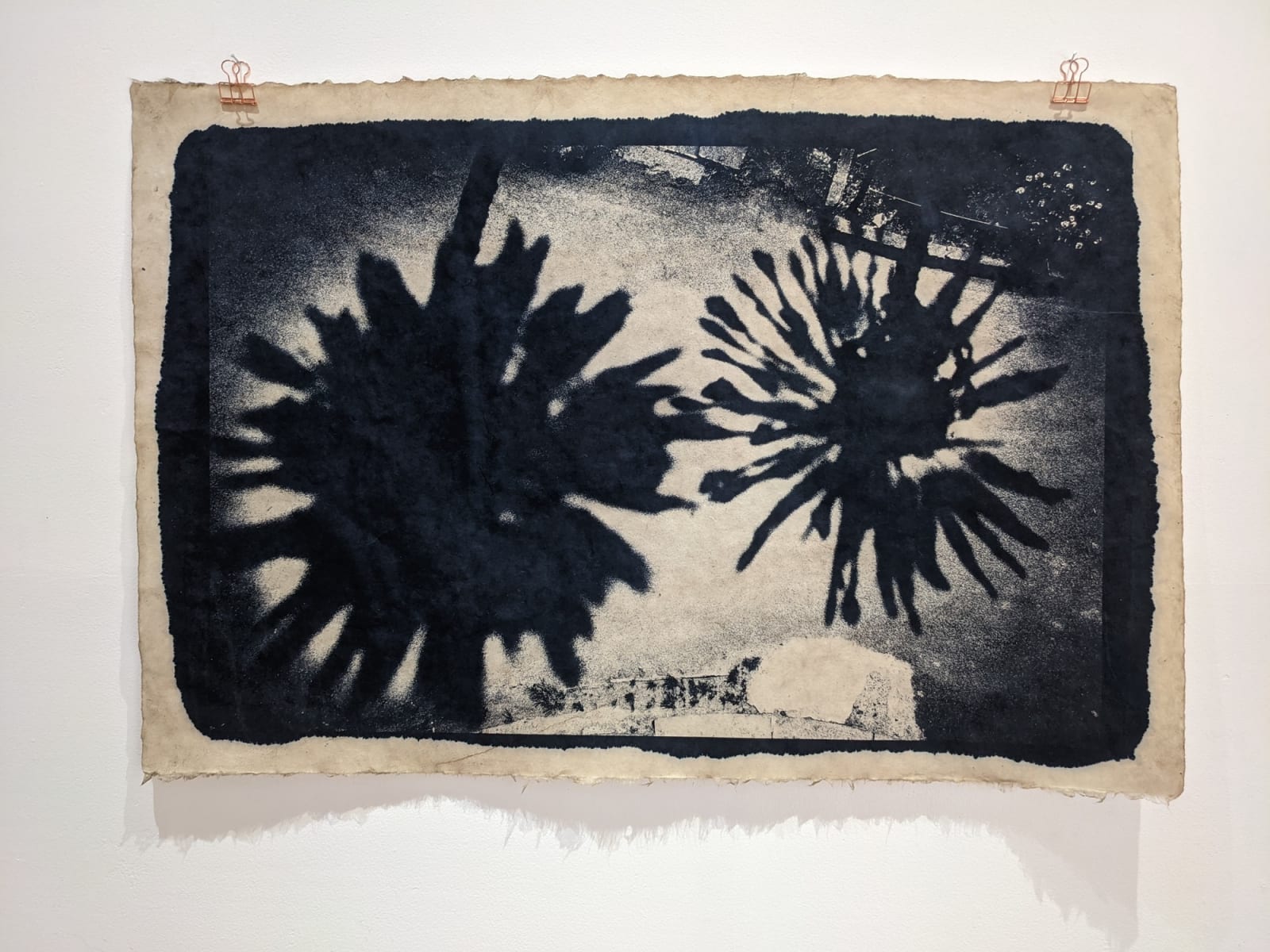 Tomasz Laczny, Erna Helena Ania 2, 2021–2022