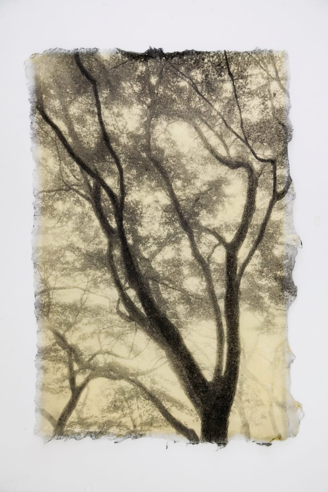 Naohiro Ninomiya, Ephemeral Moment-14, 2025