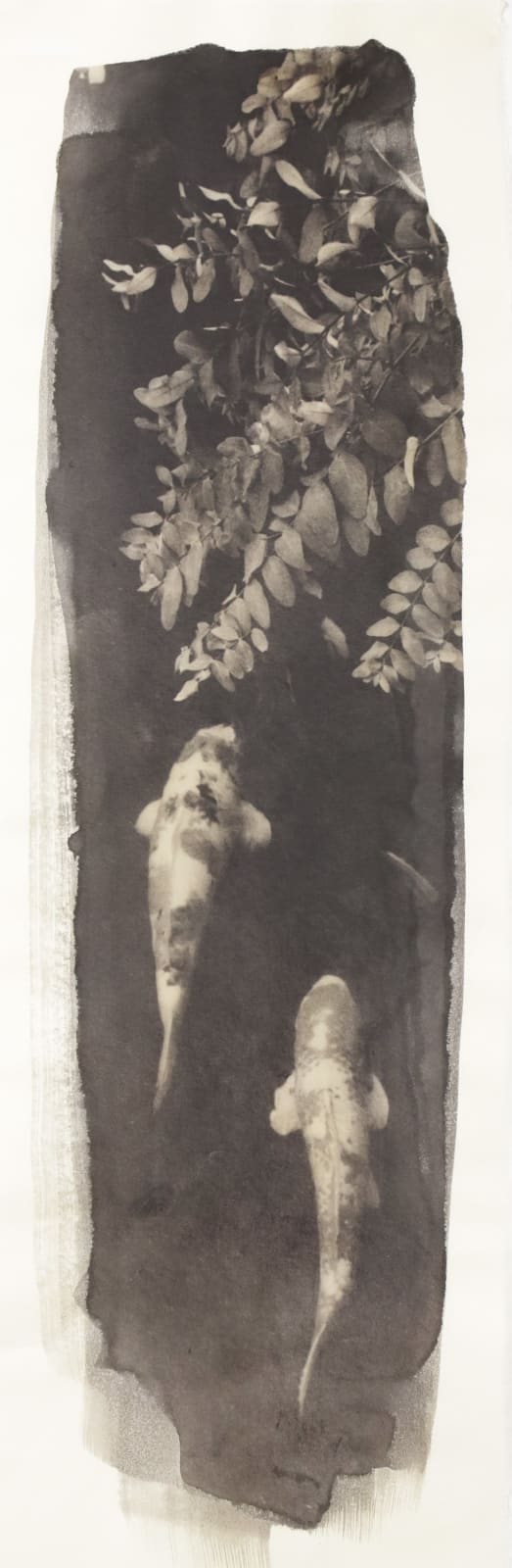 Naohiro Ninomiya, Nokomi-20, 2022