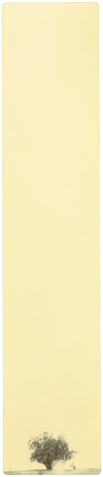 Miho Kajioka, BK0350, 2019