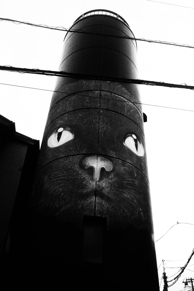 NEKO Project, Takehiko Nakafuji - Untitled