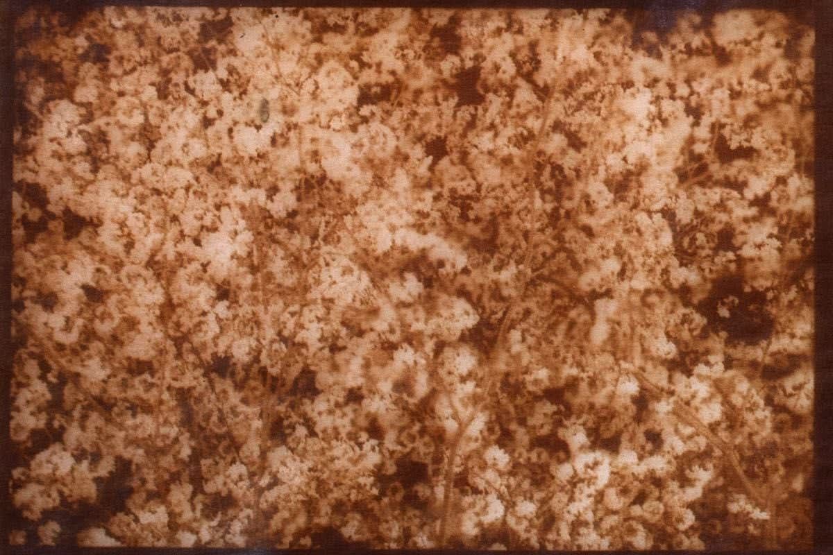 Naoyuki Ogino, ME-006 from Makai --Element-- (ME), 2016